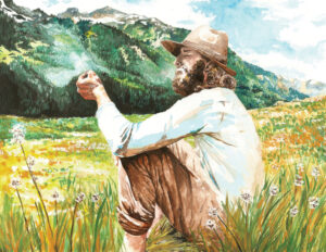 Well-Earned Comforts