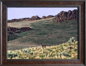 Owyhee Pronghorn